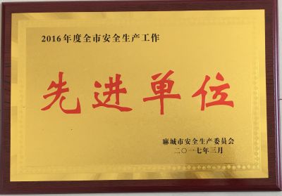 2016年全市安全生产先进单位